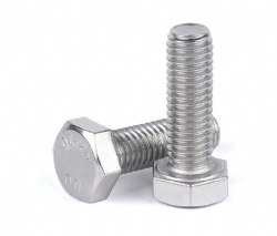 Stainless steel hex head cap screws (hex head bolts)