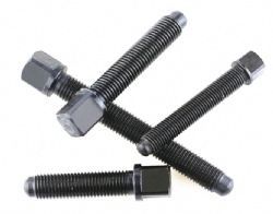 Square head bolt