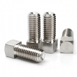 Stainless steel Square head bolt