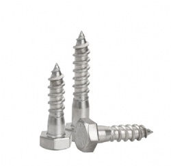 Stainless Steel Hex Head Wood Screw