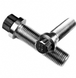 12 point bolt (Ferry bolt)