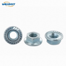 Hex Flange Nut