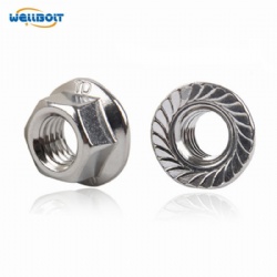 Stainless Steel Hex Flange Nuts