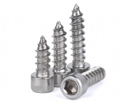 Stainless Steel Socket head wood screw