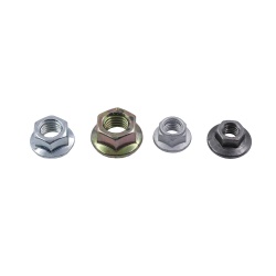 Hex Flange Nut